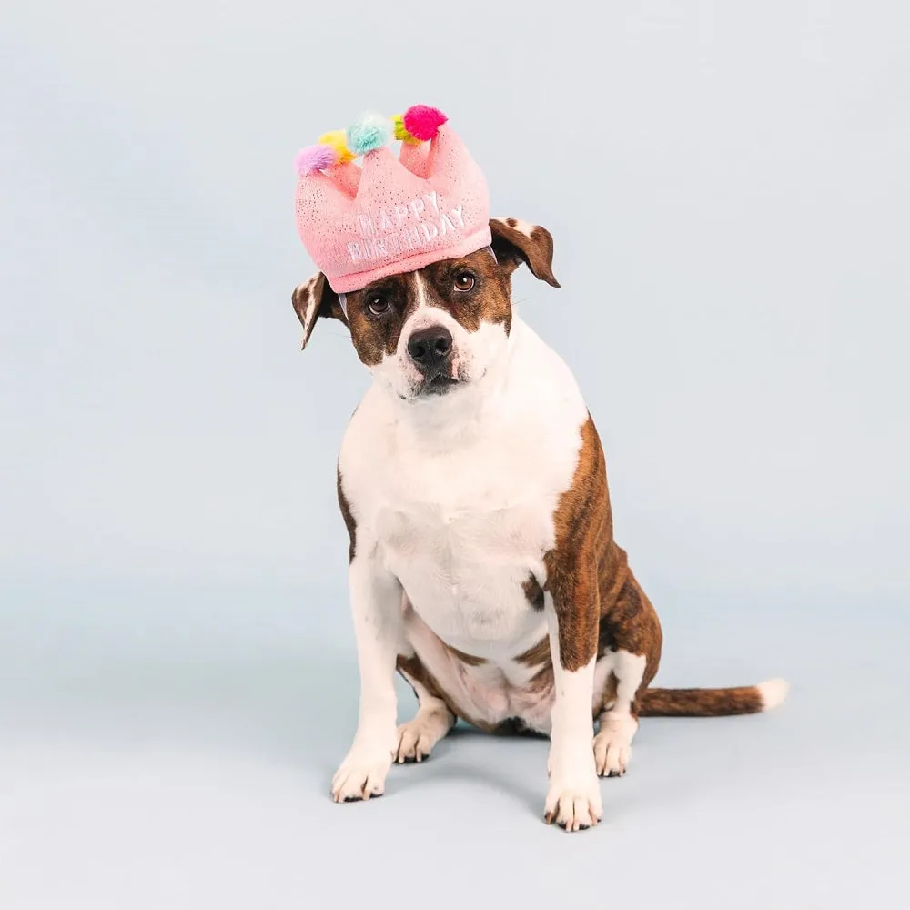 Birthday Crown Dog Plush Toy