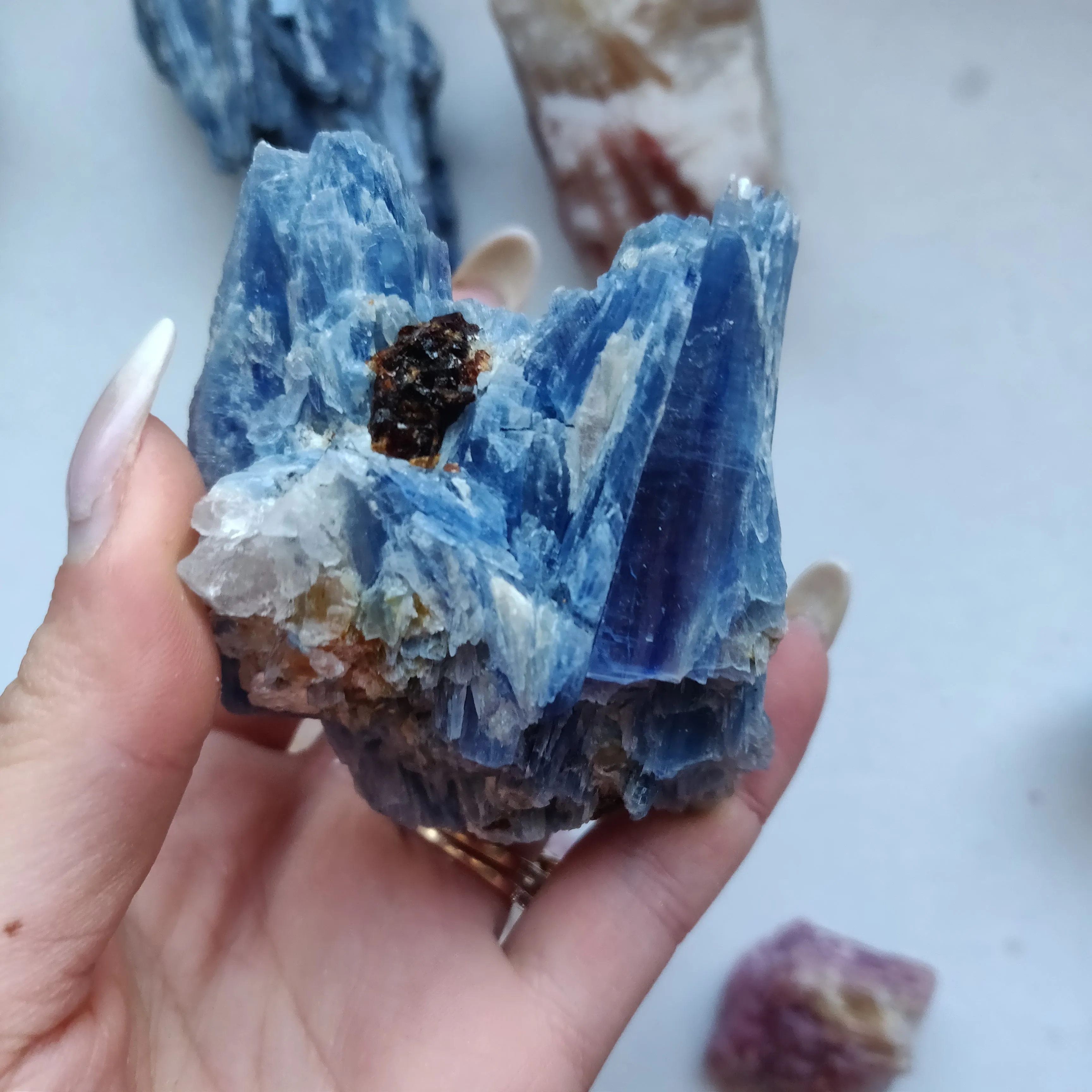 Blue Kyanite Specimen with Garnet Inclusions (#7)