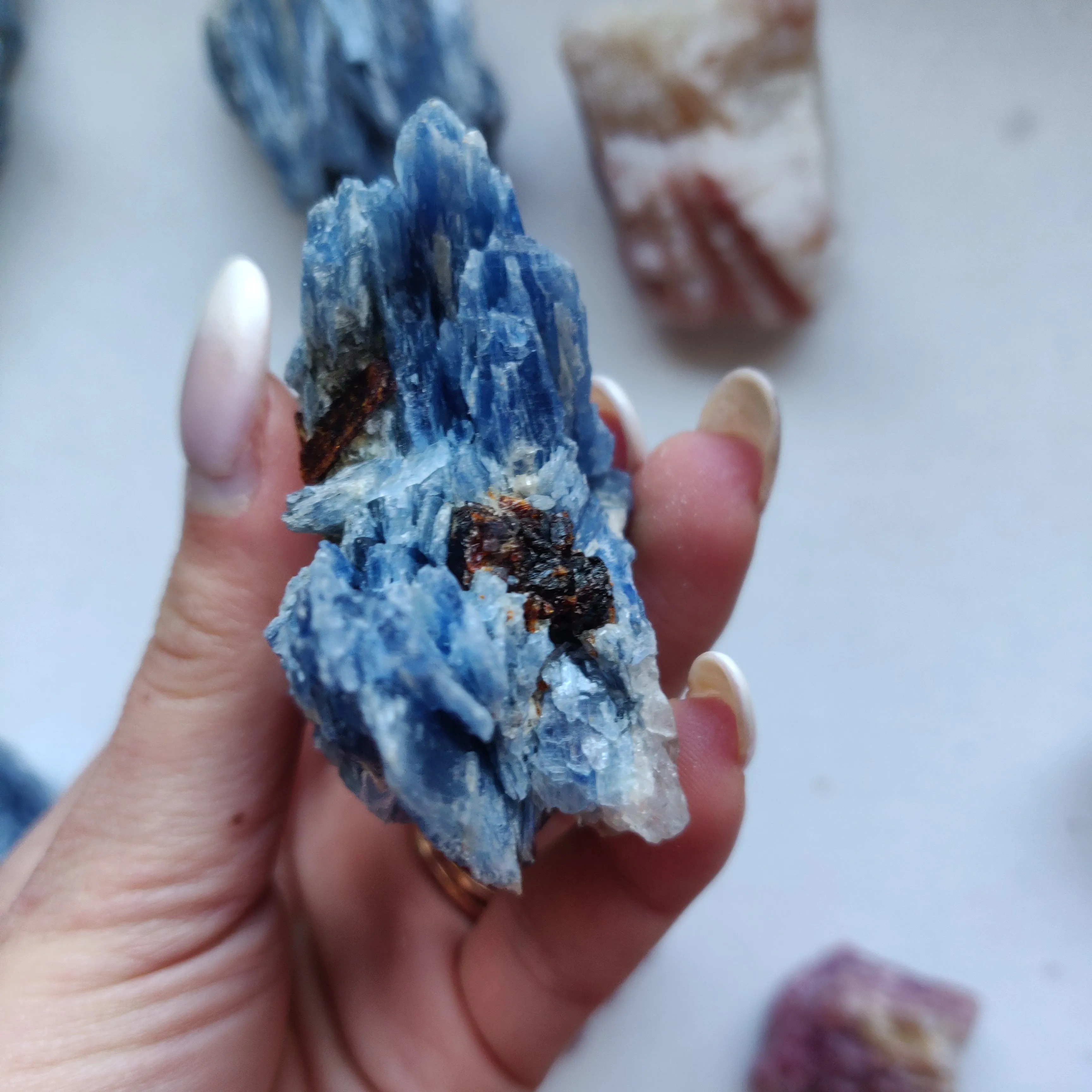 Blue Kyanite Specimen with Garnet Inclusions (#7)