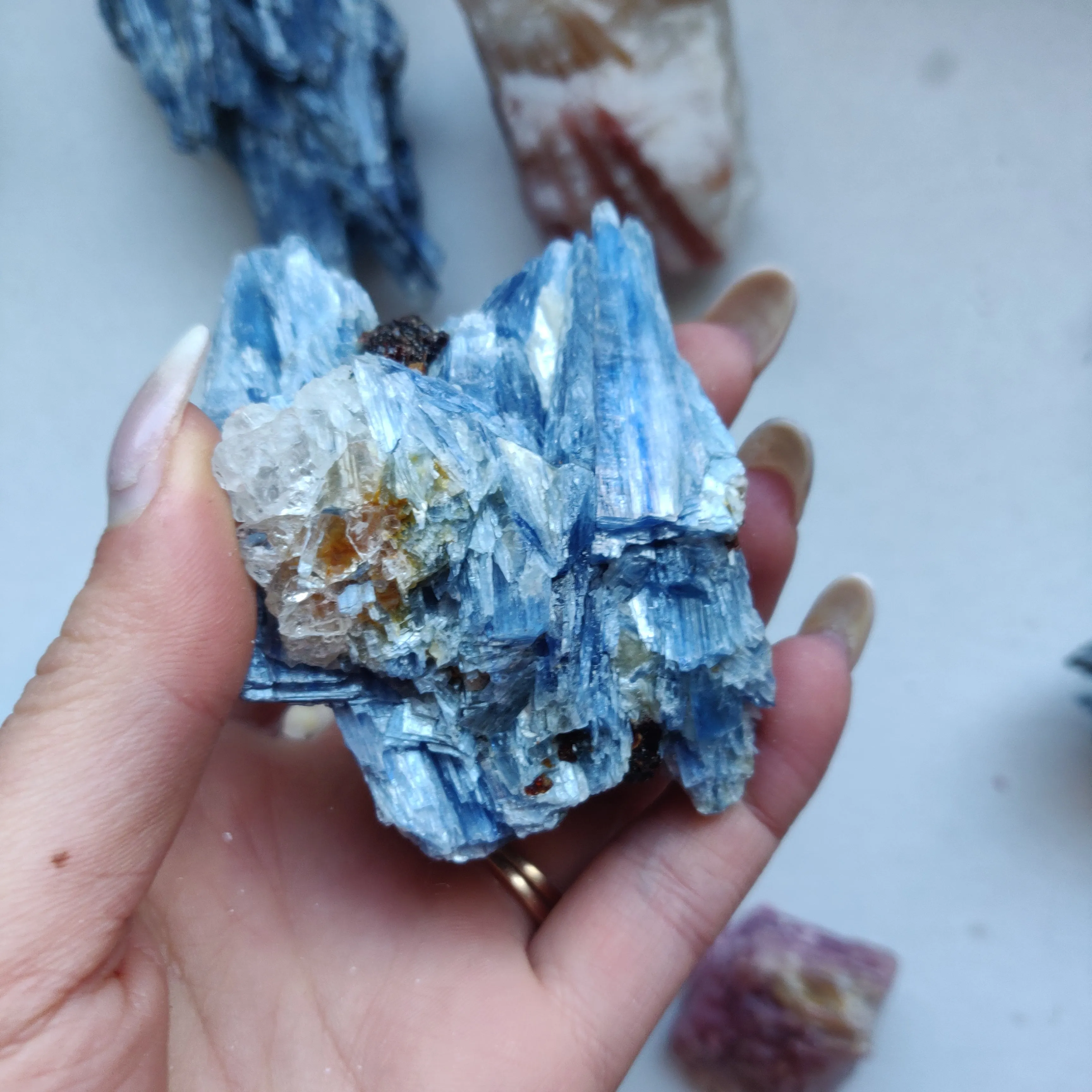 Blue Kyanite Specimen with Garnet Inclusions (#7)