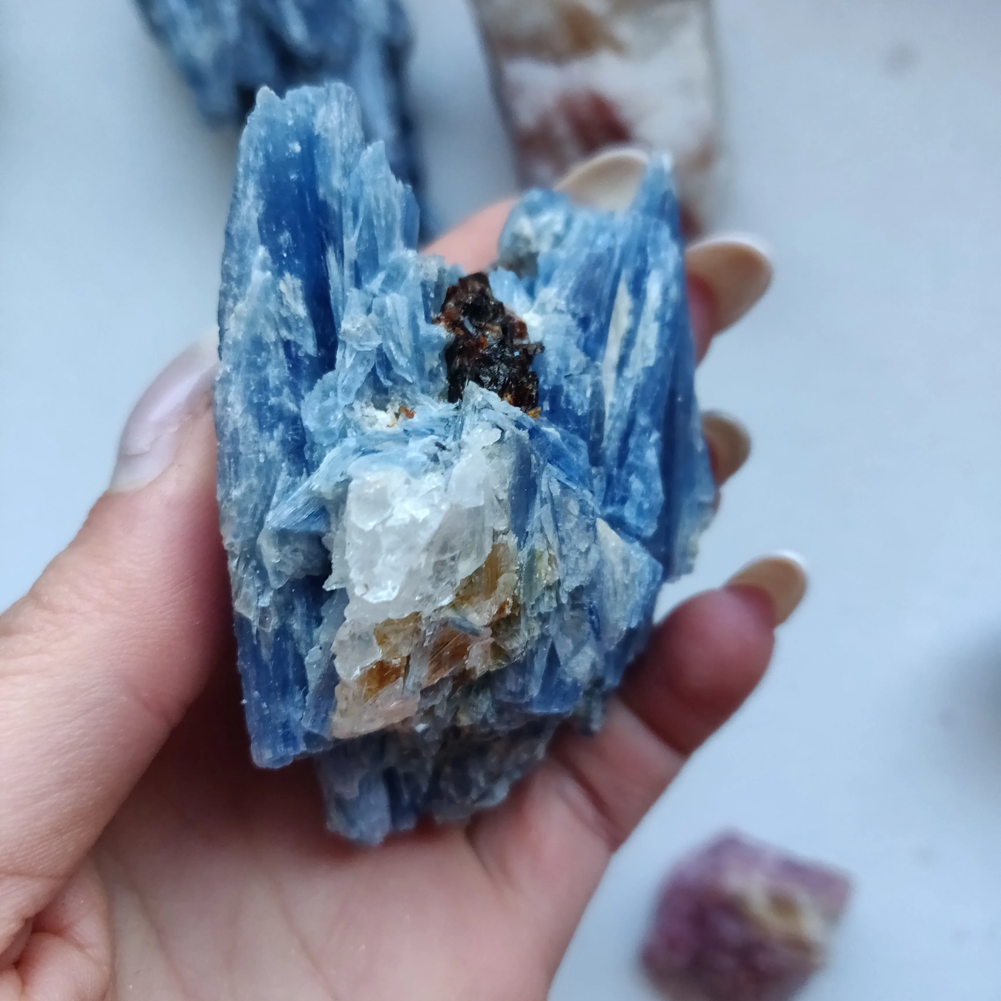 Blue Kyanite Specimen with Garnet Inclusions (#7)