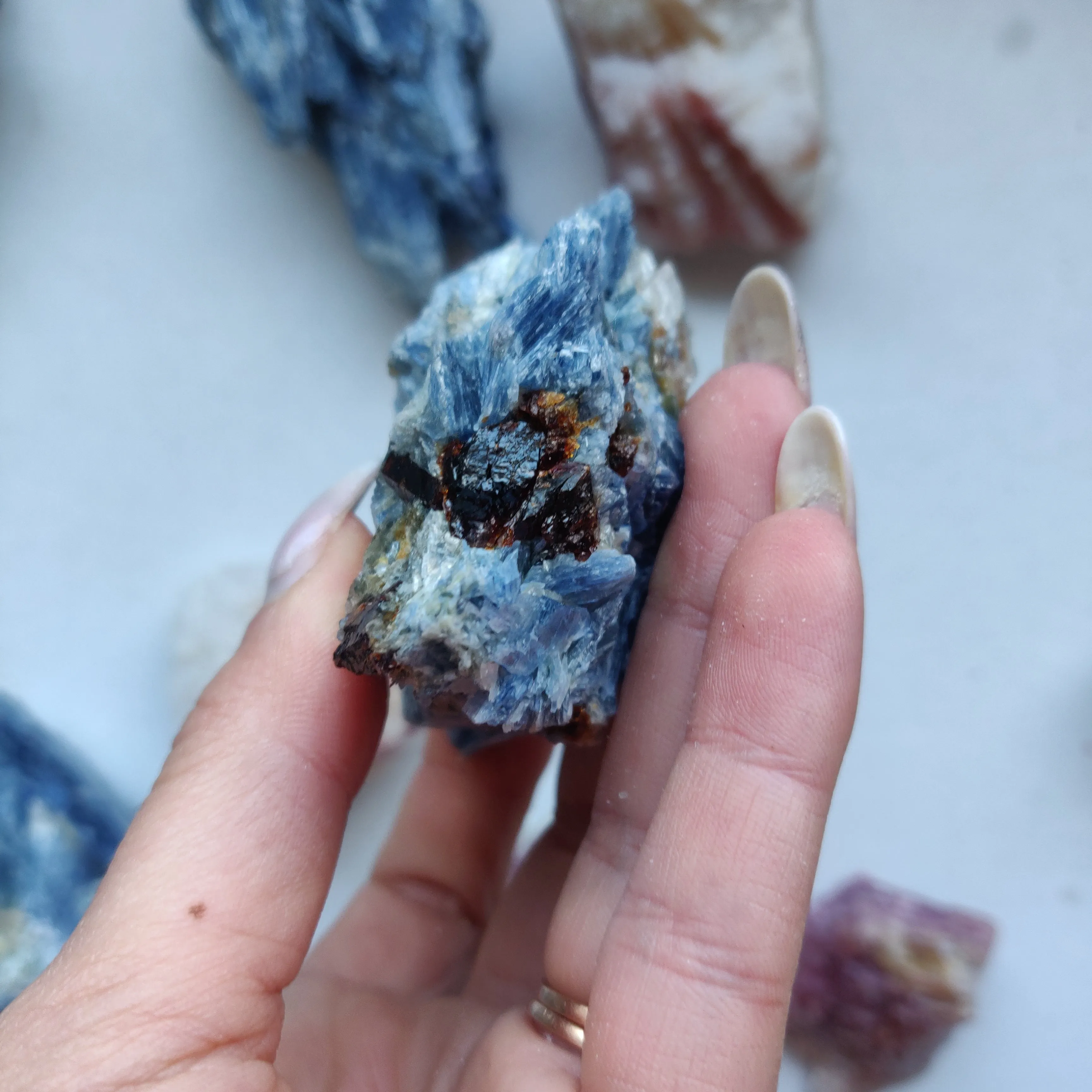 Blue Kyanite Specimen with Garnet Inclusions (#7)