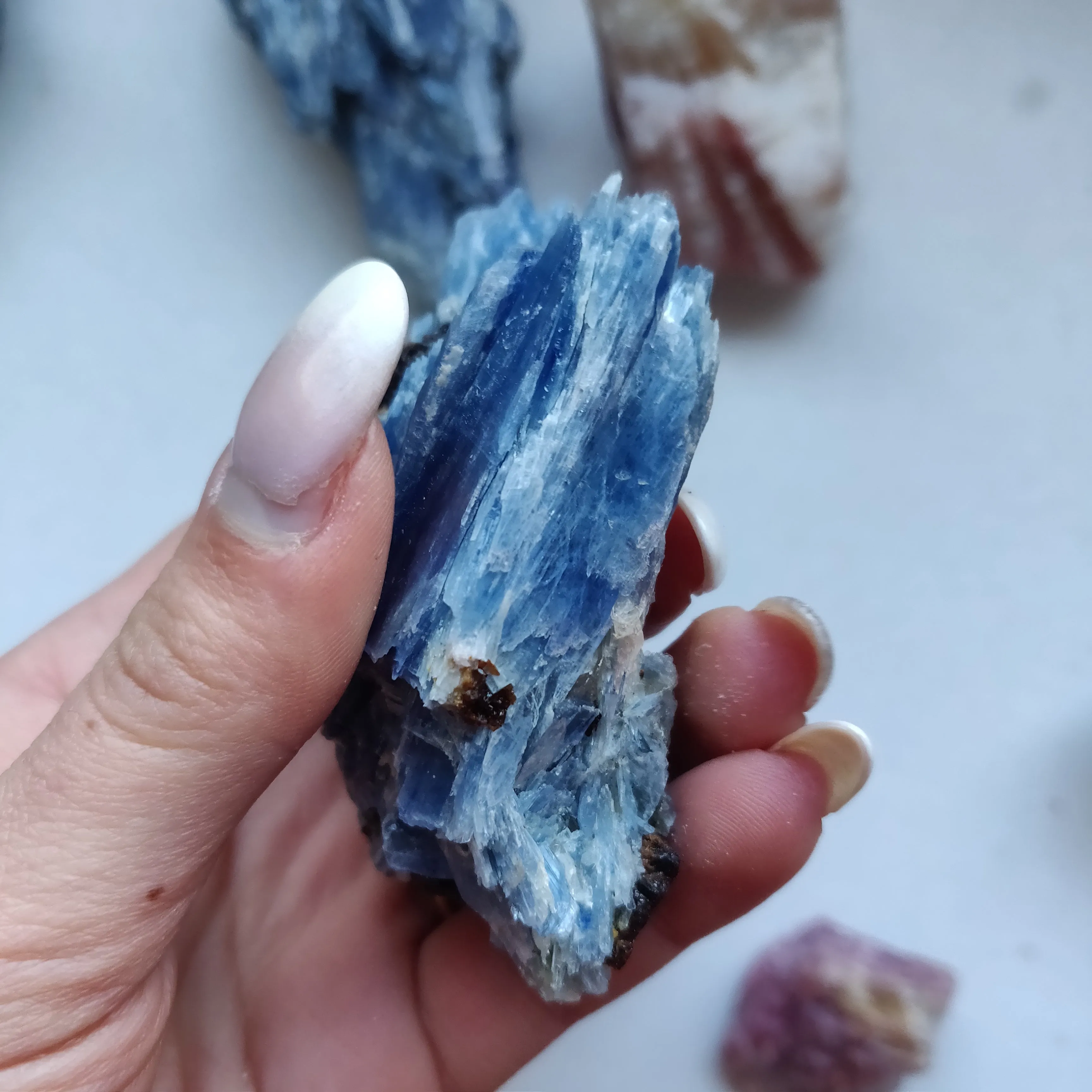 Blue Kyanite Specimen with Garnet Inclusions (#7)