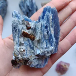 Blue Kyanite Specimen with Garnet Inclusions (#7)