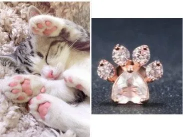 KITTEN PAW COMPLETE SET