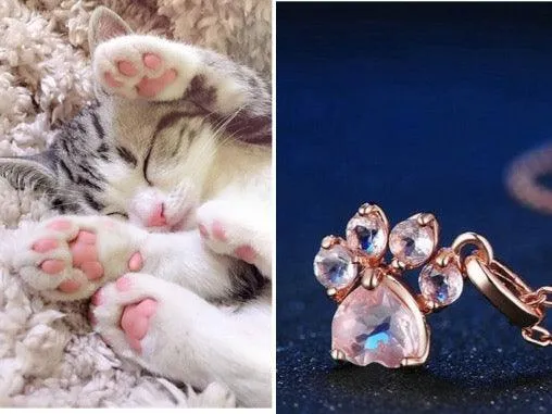 KITTEN PAW COMPLETE SET