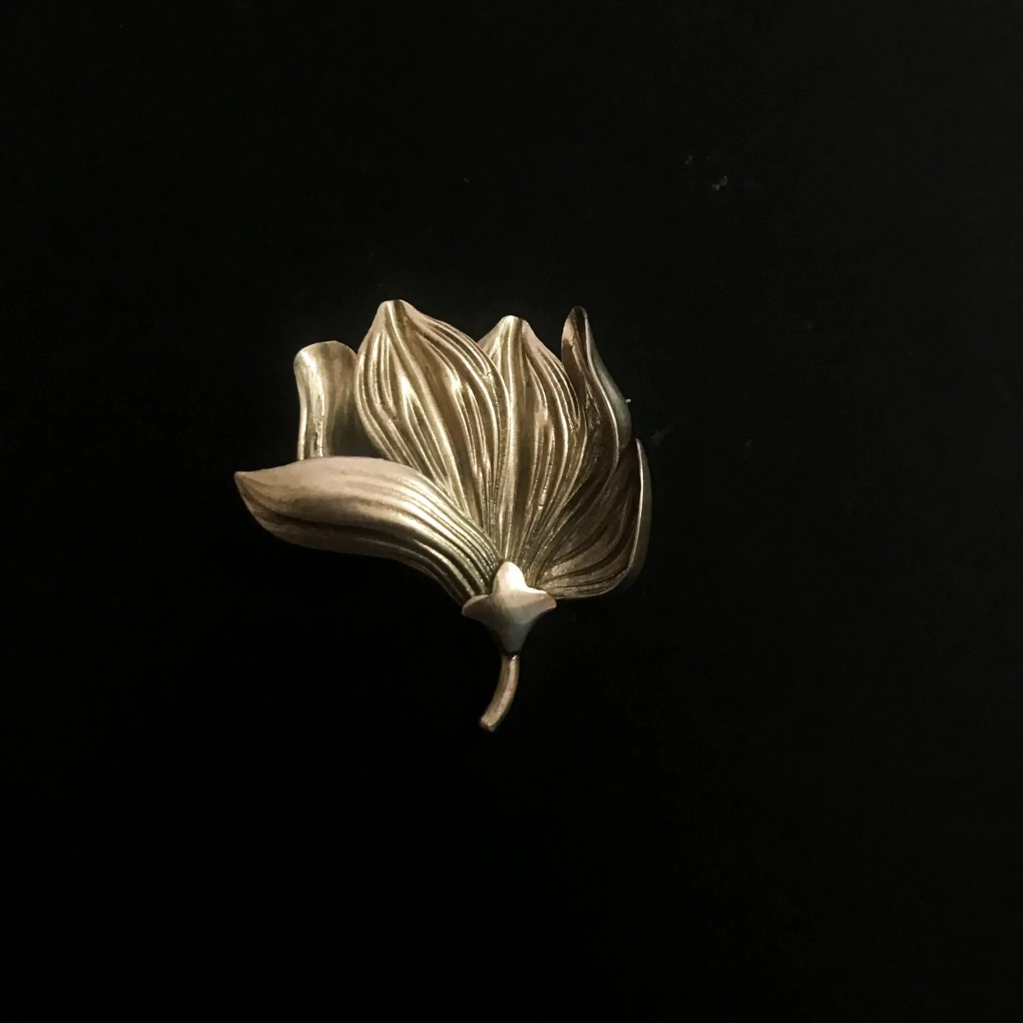 Pattiyaan Brooch