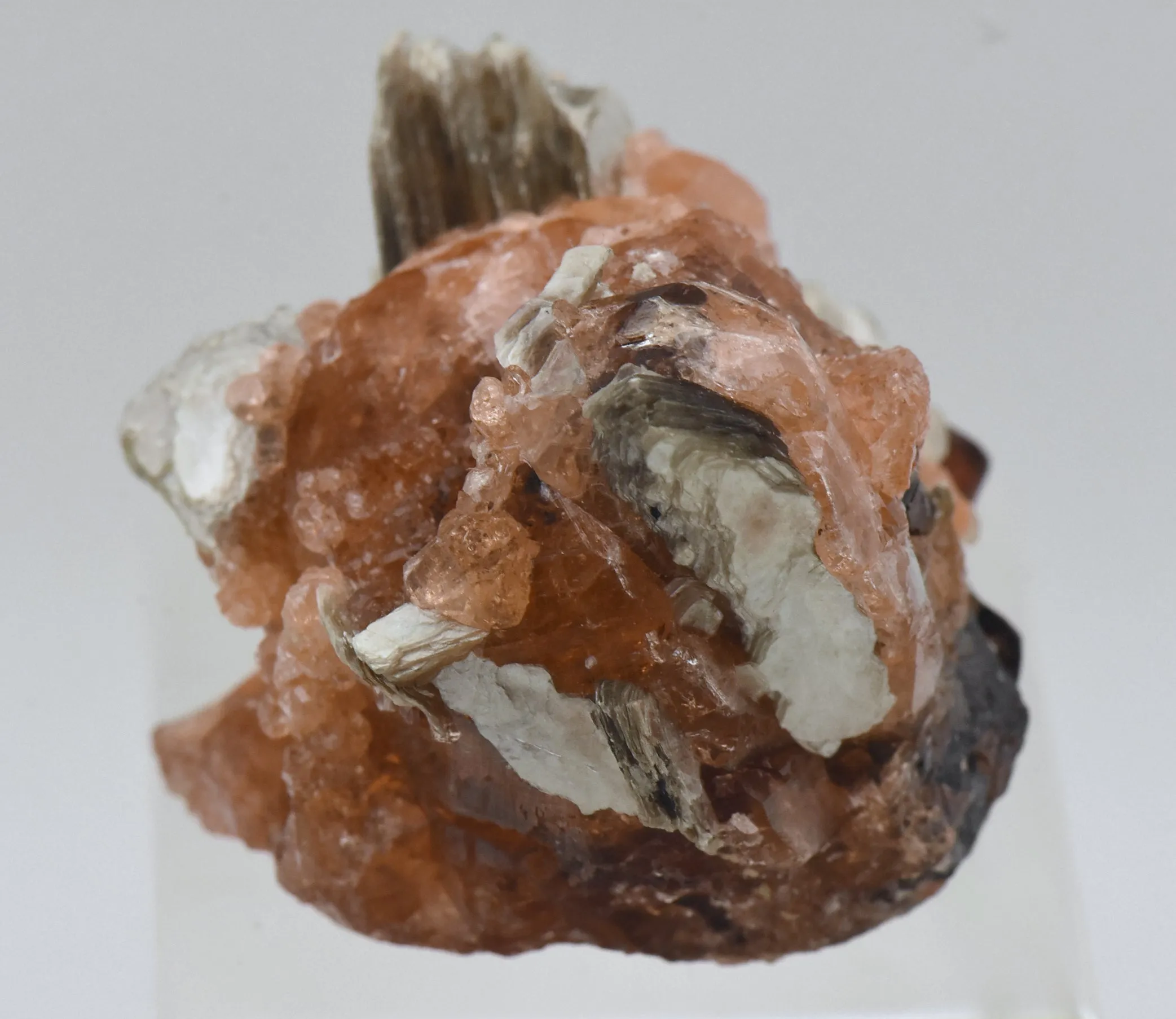 Spessartine Garnet with Muscovite Mineral Specimen - Brazil