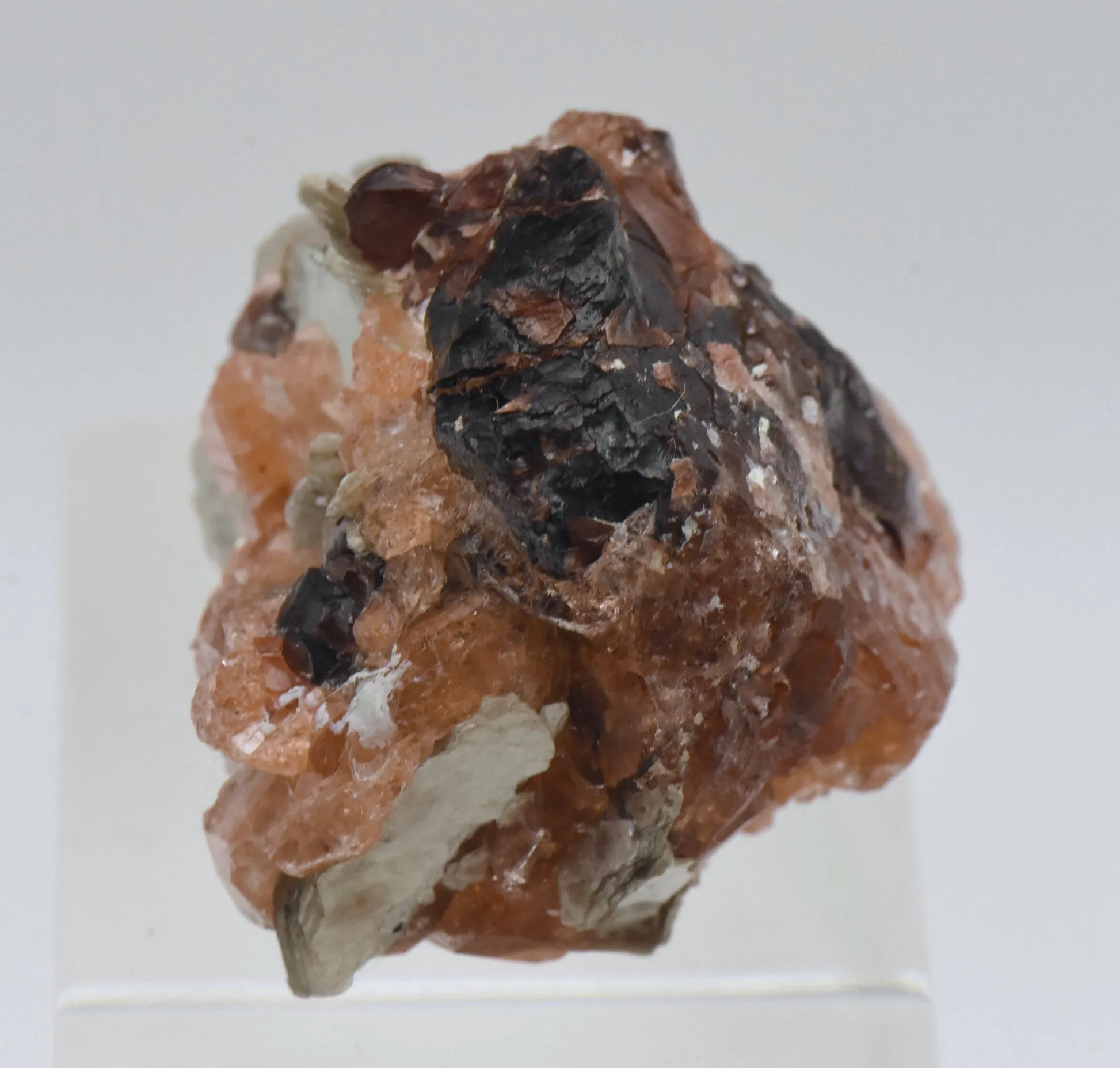 Spessartine Garnet with Muscovite Mineral Specimen - Brazil