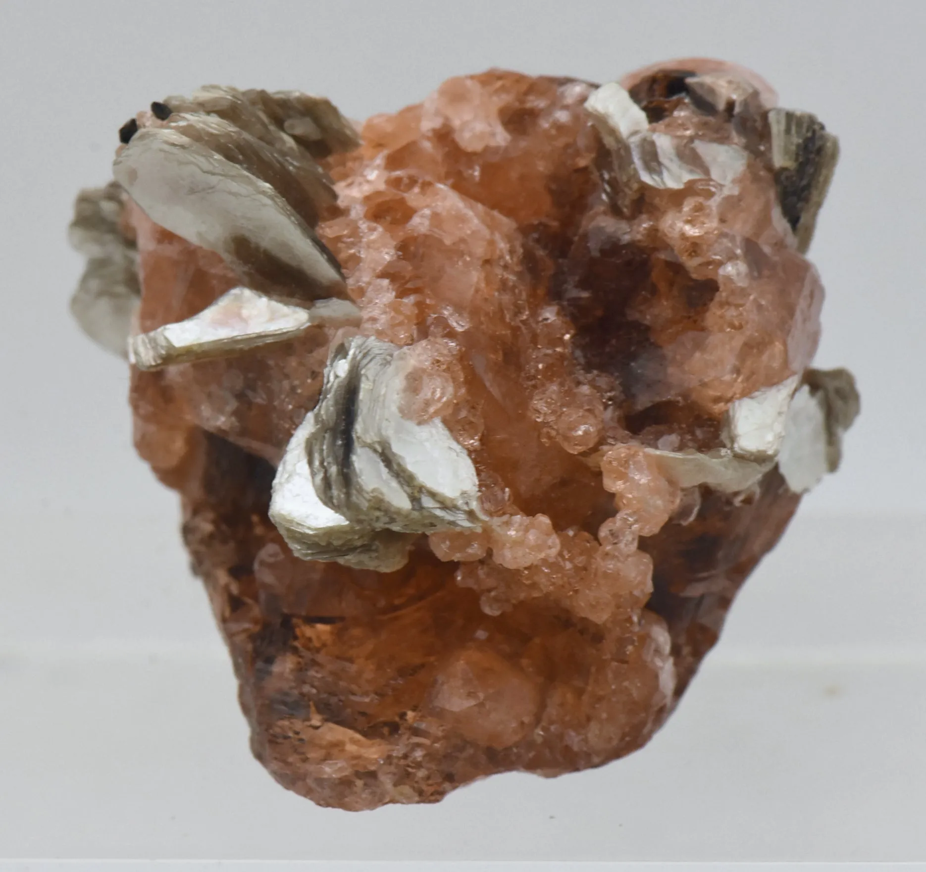 Spessartine Garnet with Muscovite Mineral Specimen - Brazil